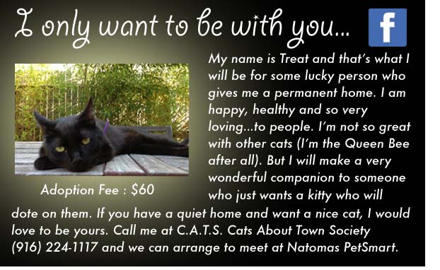TreatAdoptionAd